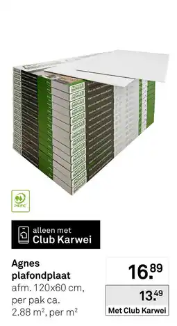 Karwei Agnes plafondplaat aanbieding
