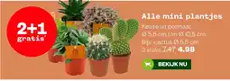 Welkoop Alle mini plantjes aanbieding