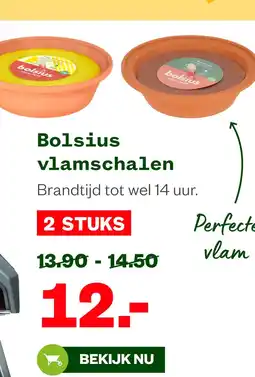 Welkoop Bolsius vlamschalen aanbieding