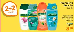 Trekpleister Palmolive douche 250 ml aanbieding