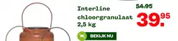 Welkoop Interline chloorgranulaat aanbieding