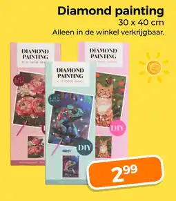 Trekpleister Diamond painting aanbieding