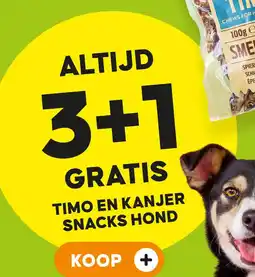 Pets Place TIMO EN KANJER SNACKS HOND aanbieding