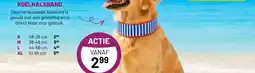 Pets & Co Koelhalsband aanbieding