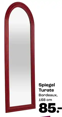 Kwantum Bekijk spiegel Turate aanbieding