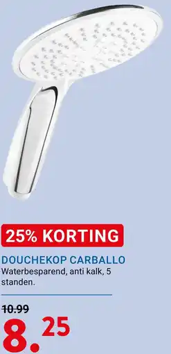 Kluswijs DOUCHEKOP CARBALLO aanbieding