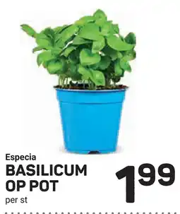 Ekoplaza Especia BASILICUM OP POT aanbieding