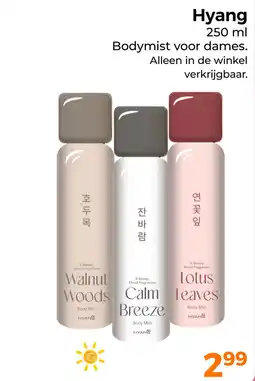 Trekpleister Hyang aanbieding