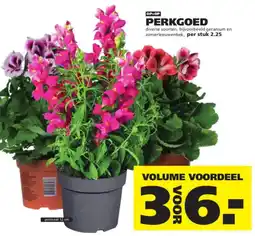 Ranzijn perkggoed aanbieding