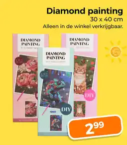 Trekpleister Diamond painting aanbieding