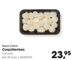 HANOS Royal Catch Coquillevee aanbieding