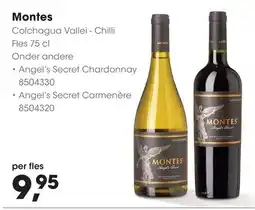 HANOS Montes Colchagua Valle - Chilli aanbieding