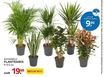 Praxis Plantenmix aanbieding