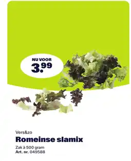 Bidfood Vers&zo Romeinse slamix aanbieding