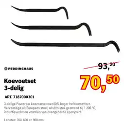 Toolspecial Peddinghaus Koevoetset 3-delig aanbieding