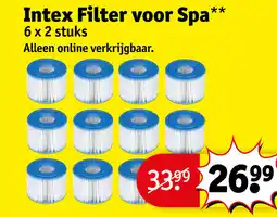 Kruidvat Intex filter voor spa aanbieding