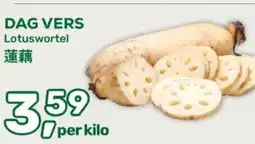 Amazing Oriëntal Lotuswortel aanbieding