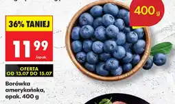 Biedronka Borówka amerykańska aanbieding