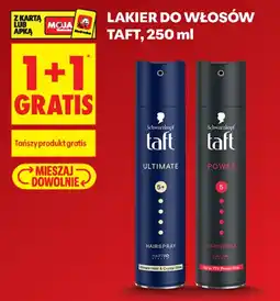 Biedronka Schwarzkopf taft aanbieding