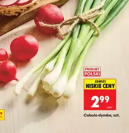 Biedronka Cebula dymka aanbieding