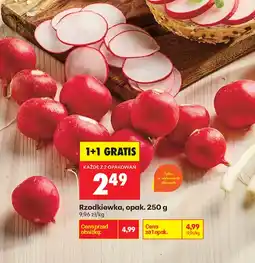 Biedronka Rzodkiewka aanbieding