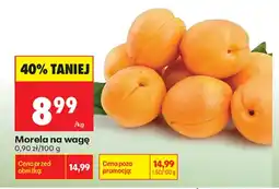 Biedronka Morela aanbieding
