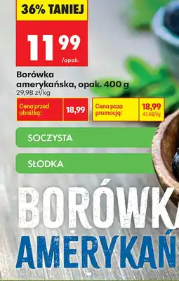 Biedronka Borówka amerykańska aanbieding