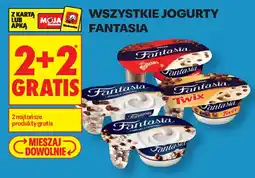 Biedronka Wszystkie Jogirity Fantasia aanbieding