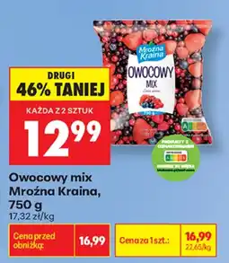 Biedronka Mroźna Kraina Owocowy mix aanbieding