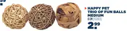 Van der Meer Happy Pet Trio of Fun Balls Medium aanbieding