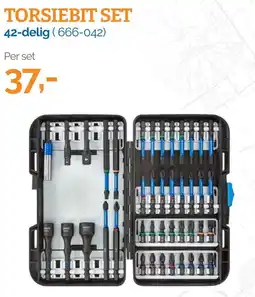 Ivana torsiebit set 42-delig (666-042) aanbieding