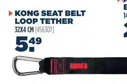 Van der Meer KONG SEAT BELT LOOP TETHER aanbieding