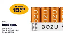 Bidfood BOZU Iced tea aanbieding