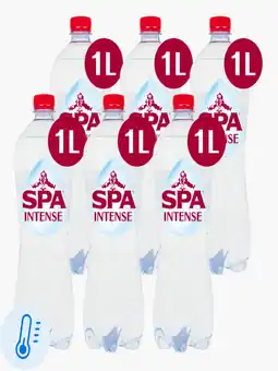 Flink Spa Intense 1L 6x aanbieding
