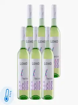 Flink Lizard Pinot Grigio 750ml 6x aanbieding