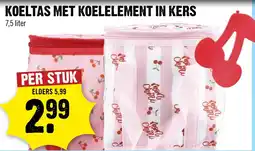 Dirck 3 koeltas met koelelement in kers aanbieding