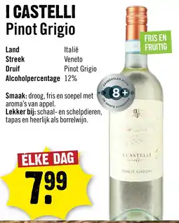 Dirck 3 I CASTELLI Pinot Grigio aanbieding