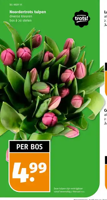 Poiesz Noordertrots tulpen diverse kleuren per bos aanbieding