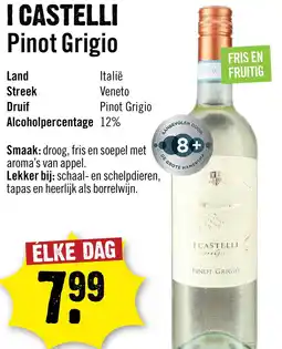 Dirck 3 I Castelli Romeo E Giulietta Pinot Grigio 75 cl aanbieding