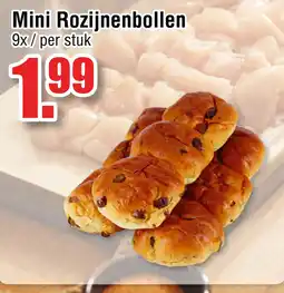 Ter Huurne Holland Markt Mini Rozijnenbollen aanbieding
