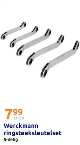Action Werckmann ringsteeksleutelset aanbieding