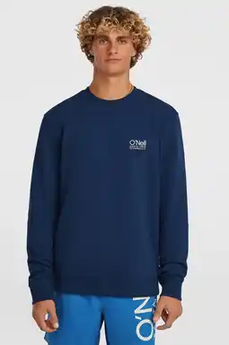 Wehkamp O'Neill sweater donkerblauw aanbieding