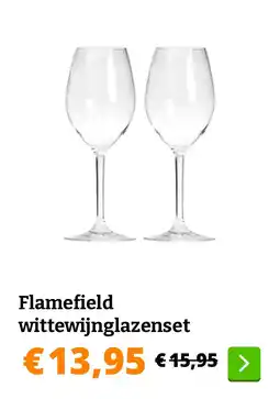 Obelink Flamefield wittewijnglazenset aanbieding