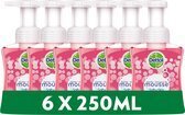 Bol.com Dettol Handzeep Zachte Mousse - Antibacterieel - Roos & Kersenbloesem - 6 x 250 ml aanbieding