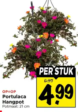 Vomar Voordeelmarkt Portulaca hangpot aanbieding