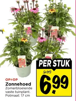 Vomar Voordeelmarkt Zonnehoed aanbieding