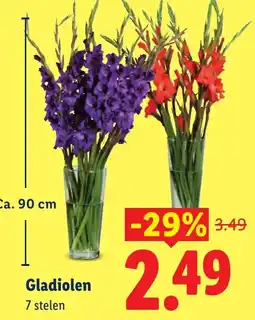Lidl Gladiolen aanbieding