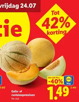 Lidl Galia- of cantaloupemeloen aanbieding
