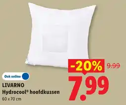 Lidl Livarno Hydrocool hoofdkussen aanbieding