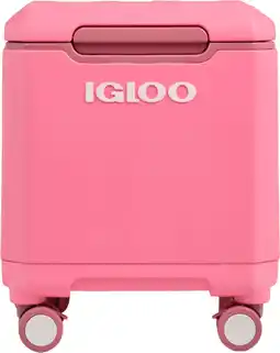 Coolblue Igloo Tag a long2 Spinner 360 Pink aanbieding
